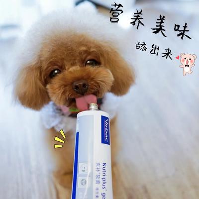 专业高效，合规清关 荷兰宠物鱼油胶囊进口报关全程指南