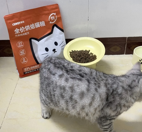 低温烘焙新选择 希喂猫粮如何成为家庭宠粮新宠