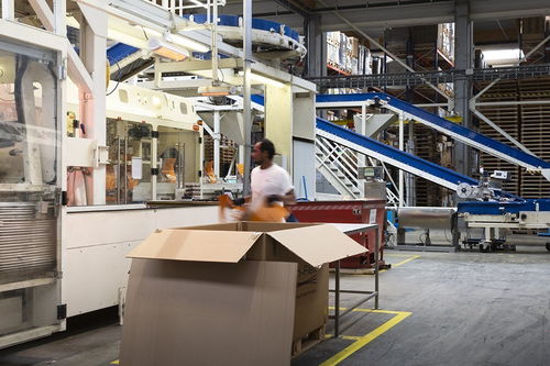 森西 源自自然，守护健康——一段关于宠物食品的温情故事