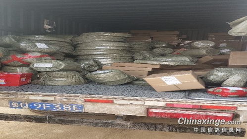 福来翔鸽具宠物用品生产厂 匠心独具，专注宠物食品新篇章