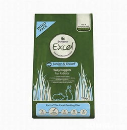 宠物的理想之家 探索pet cafe的多元化宠物服务