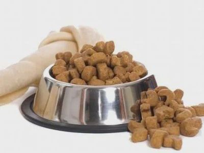 宠物食品配方师研发课程今日开课，深入解析犬猫商品化宠物饲粮